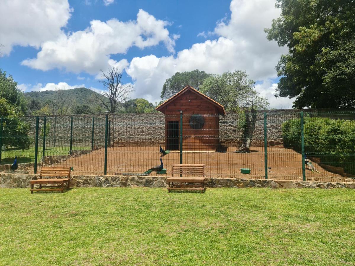 Finca Los Angeles Hospederia & Sociales Huasca de Ocampo Exterior photo